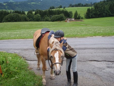 sweet horse - beauty, love, horse, sweet