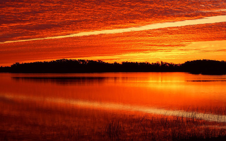 Red Twilight - eddy, multicolor, sundown, night, sunrays, widescreen, trunks, plants, nice, amber, breeze, sunrises, drift, breathing, sunshine, gold, colors, natural, colours, wind, nature, background, wallpaper, yellow, coast, air, amazing, evening, photo, sunsets, desktop, leaves, dawn, red, twilight, effects, golden, sun, clouds, branches, trees, water, beautiful, photography, photoshop, cool, orange, ambar, afternoon, colorful, islands, awesome, sumbean, multi-coloured, day, leaf