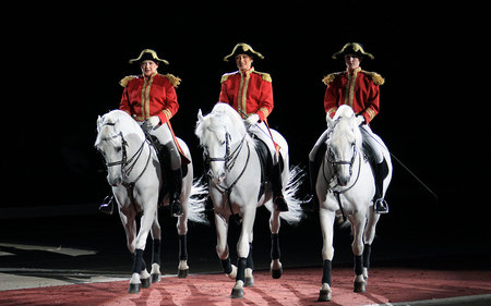 Lippizans Performance - white, horses, lippizans, austria, dressage