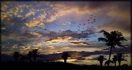 sky make u happy - sunset, nature, blue, sky