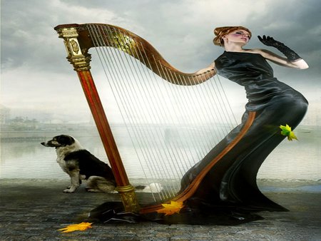 THE HARP - beach, female, dog, harp