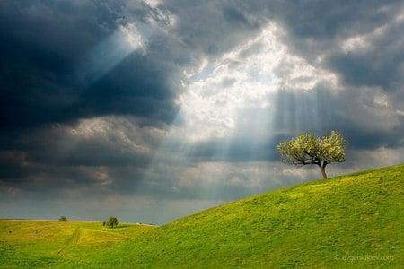 Sky look - clouds, beautiful, photography, light, tree, green, field, sky, bulgaria