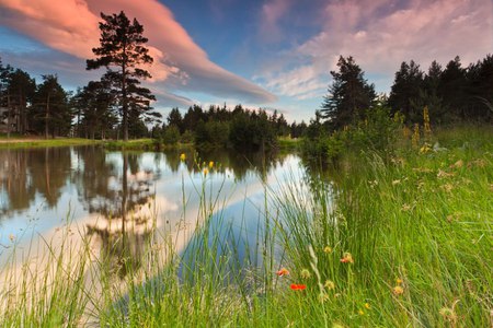 Semkovo Lake - lake, reflection, clouds, photography, trees, sunset, bulgaria