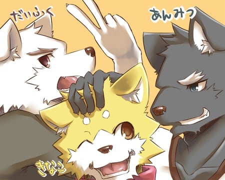 furry - black, furry, white, wolf, orange