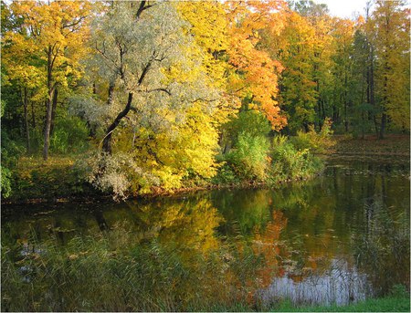 Autumn Reflection 3 - nice, trees, autumn fall, reflection, art photo, water, park