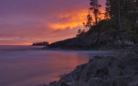 Tofino Sunset - beaches, ocean, trees, coastline, calm, nature, clouds, beautiful, colors