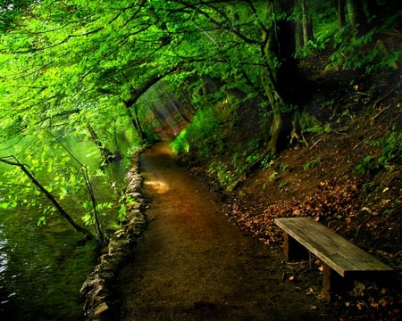 TAKE A BREAK - path, sunlight, trail, beams, green, bench, forest, pathway