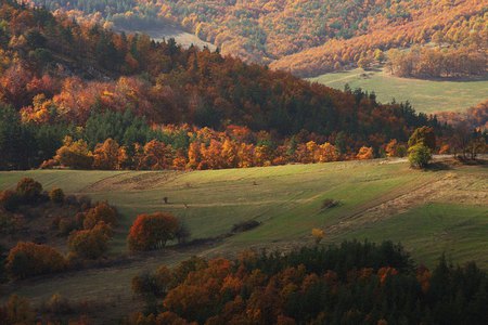 Autumn Rodopy - fall, trees, photograaphy, autumn, light, mountain, bulgaria