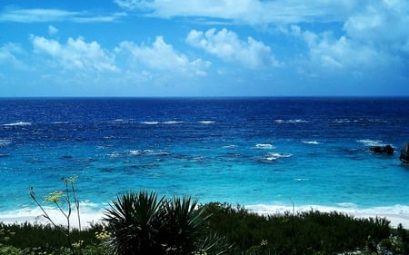 Beach in Bermuda - vegetation, blue, beautiful, beaches, ocean, nature, cloud, sky, formations, coastal