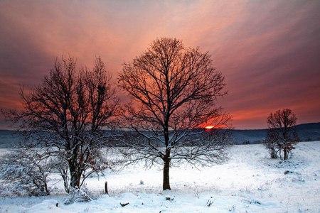 Strandzha - trees, mountain, snow, winter, sunset, photo, bulgaria