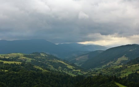 Carpathian Mountains - nature, valley, forest, overcast, beautiful, green, mountains