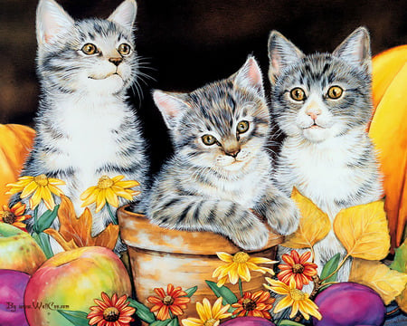 Autumn Fun - pots, kittens, fruits, playing, pumpkins, fall, colours, leaves, flowers, garden