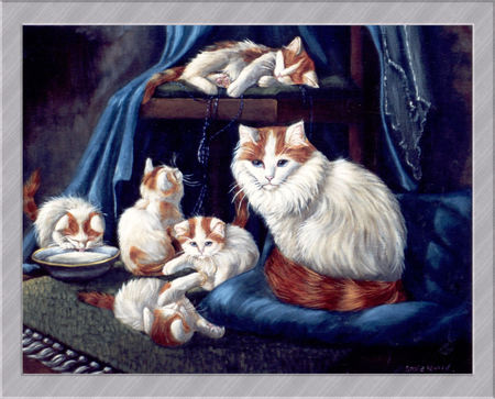 Family Pride - proud, milk, blue, gold, sweet, playing, cat, curtain, white, kittens, mother, sleeping