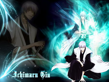 gin ichimaru - gin, anime, ichimaru, bleach