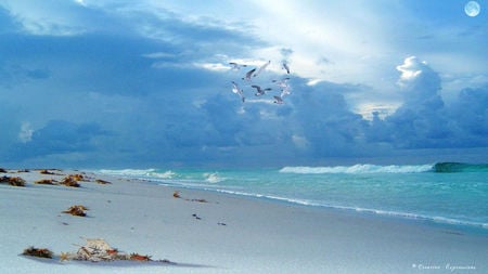 Impending Storm 2 - ocean, art, digital, photomanip