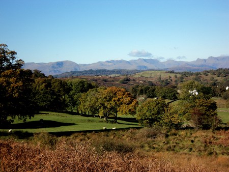 Landscape of Cumbria - woodland, fields, braken, autumn, cumbria