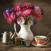 still life