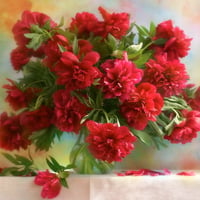 Red Flowers