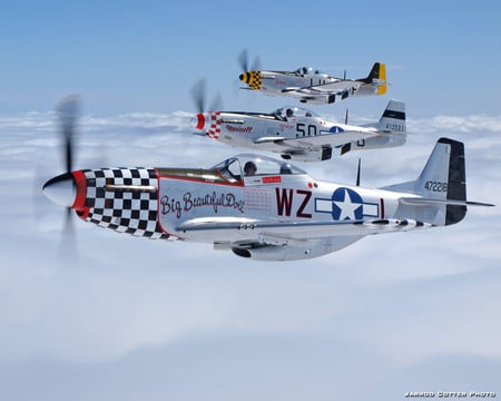 North American P51 Mustang fighters - north, ww2, p 51, usaf, fighter, american, plane, world, p51, war, mustang