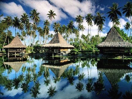 Hotel_Bungalows_Moorea_French_Polynesia - trees, forces, lale, water, blue, rivers, reflection, nature, hotel, sky