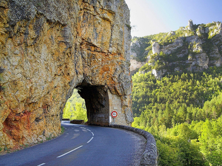 Drive safely - fir trees, rock, road, pass, mountain, road sign, bridge