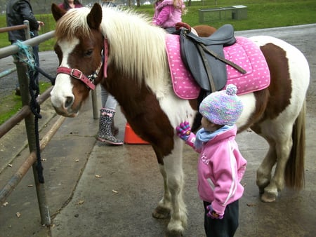 Pony and Kid - kid, pony, girl, horse