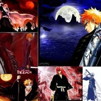 bleach ichigo