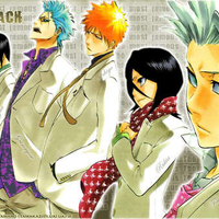 bleach top5