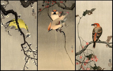 Koson Triptych - branches, berries leaves, artwork, blossom, oriental, birds