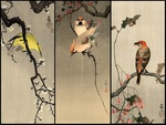 Koson Triptych