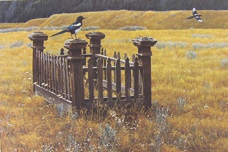 Pioneer Memories - fields, soaring, homestead, fence, landing, resting, tales, golden, grave, grass, history, birds