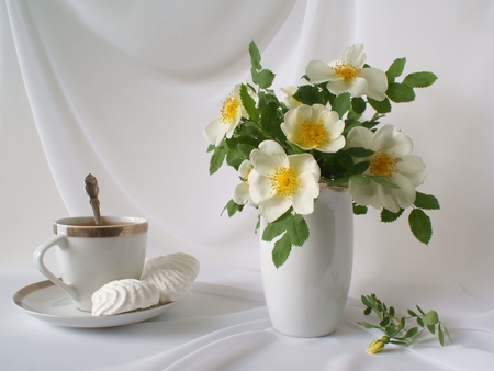 still life - nice, roses, photography, bouquet, rose, still life, white, cool, gently, drink, tea, vase, cup, cake, beautiful, flowers, photo, flower