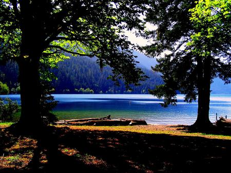 Lake - lake, trees, nature, sky