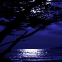 DARK MOONLIT NIGHT