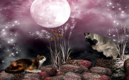 PLAYFUL CATS - moon, playful, mauve, cats