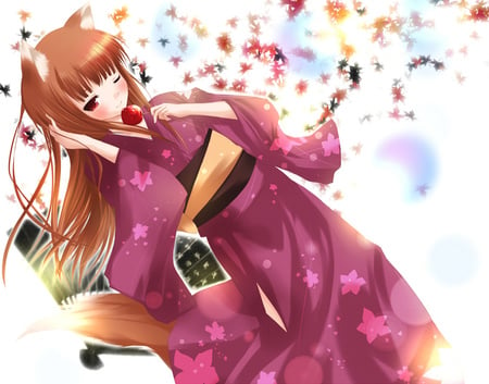 holo - tail, animal ears, spice and wolf, pink, komono