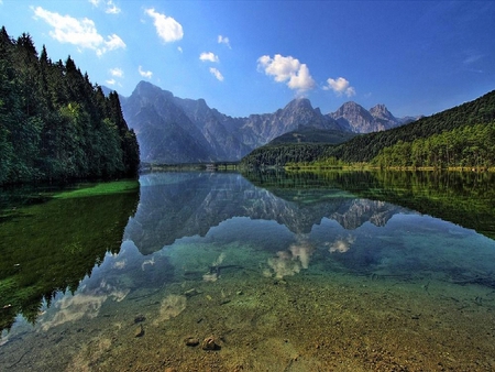 superb landscape - superb, trees, blue, green, clear, landscape