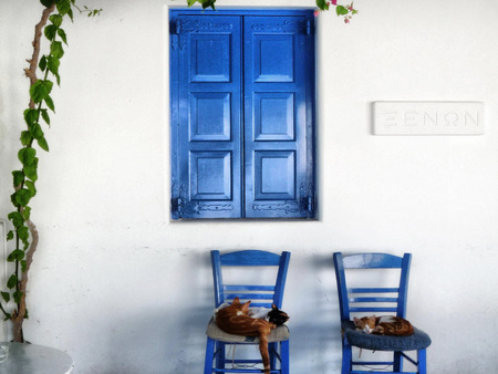 Island cats - house, blue, mediterranean, island, cat, chair