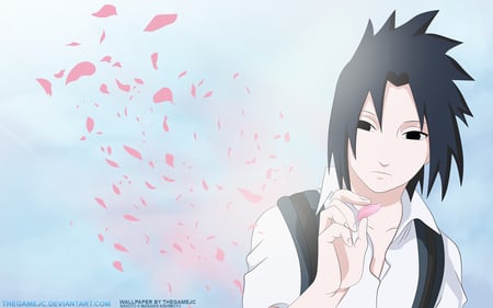 Sasuke Uchiha - naruto, sasuke, anime, uchiha, shippudden