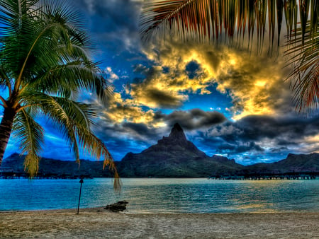 Another Place - Another Time - wallpaper, beach, sky, palm trees, fronds, clouds, beaches, new, nature