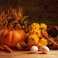 Autumn Still Life 9