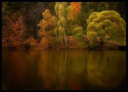 Autumn Park Evening - art photo, evening, lake, nice, refleciton, small, trees, park, autumn