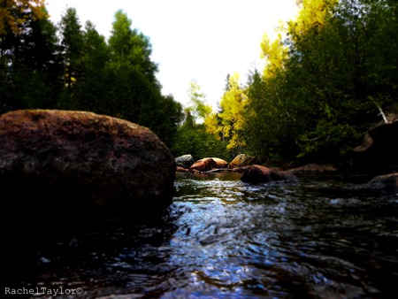 In the Water - rock, river, water, photography