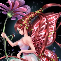 Fairy