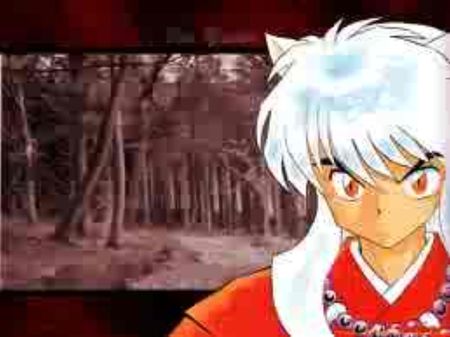 inuyasha - inuyasha, japan, anime, sword, lol