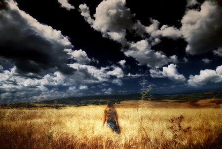 GOLD - sky, girl, art photo, clouds, beautiful, field, grass, gold color