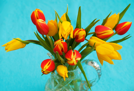 Colourful boquet - red, tulips, flowers, vase, yellow