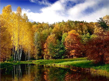 Reflections of the season - reflections, cloudy sky, yellow, lake, gold, orange, trees, color, autumn, green