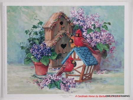 Cardinal's House - cardinals, flowers, pots, birds, red, perched, houses