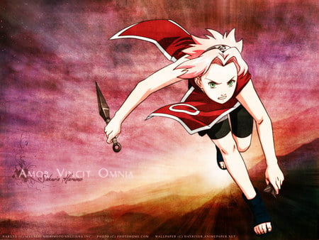 Sakura Haruno - shippudden, anime, sakura, naruto, haruno